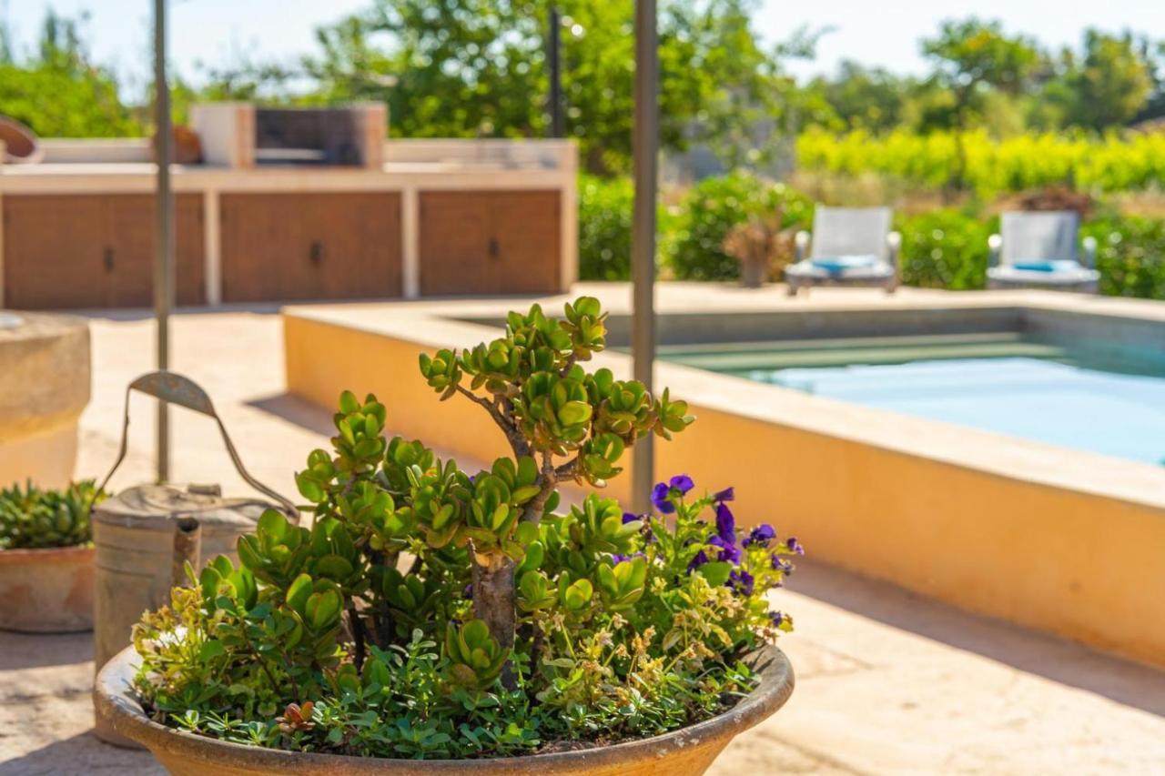 Finca Campestre Es Verger Blue Binissalem Esterno foto